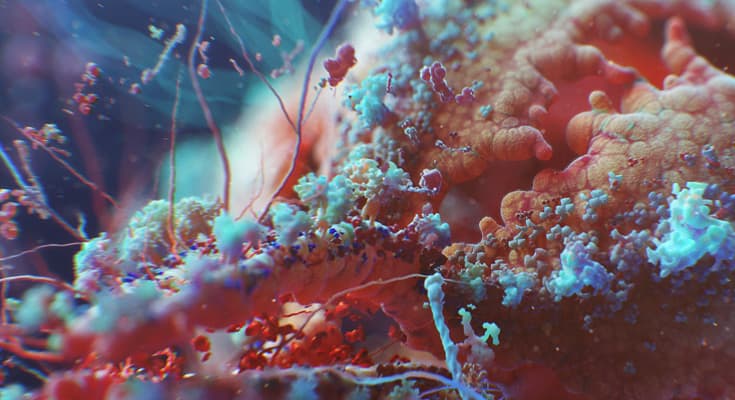 HIV_macro_s.jpg