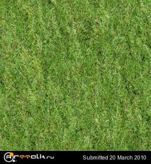 grass_147.jpg
