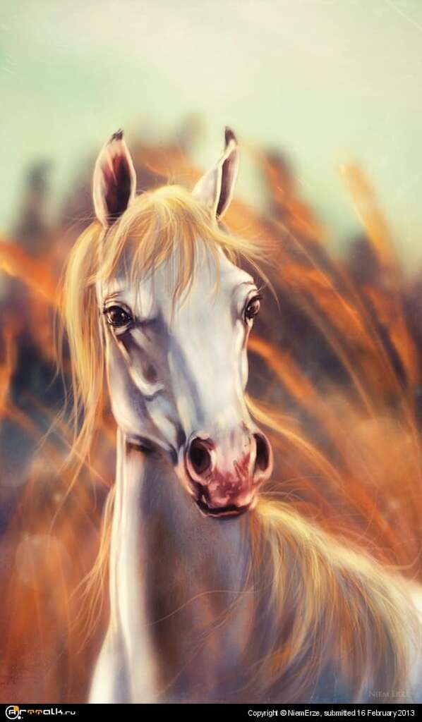 Horse