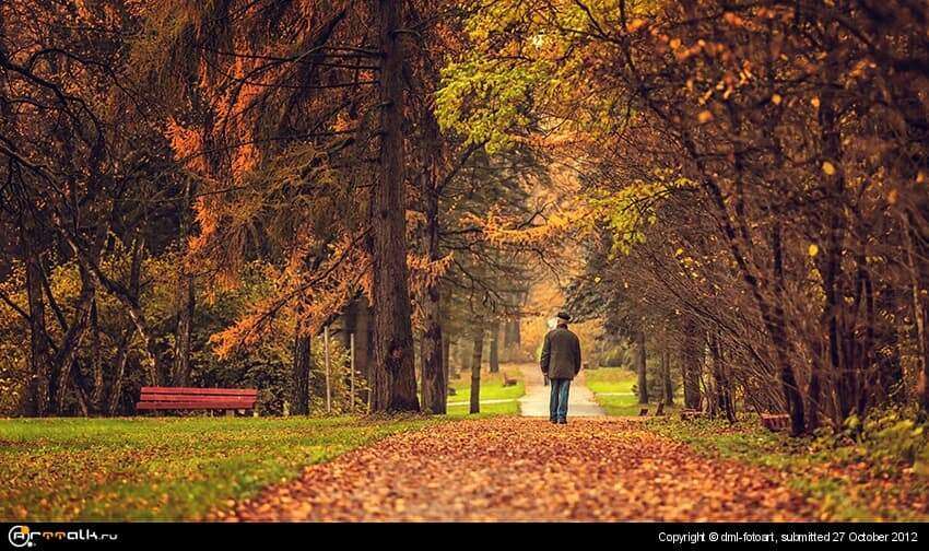 Autumn In The Park