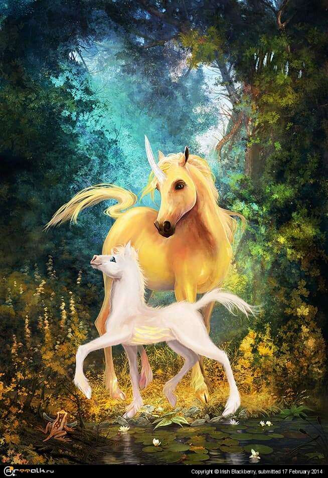 Unicorn