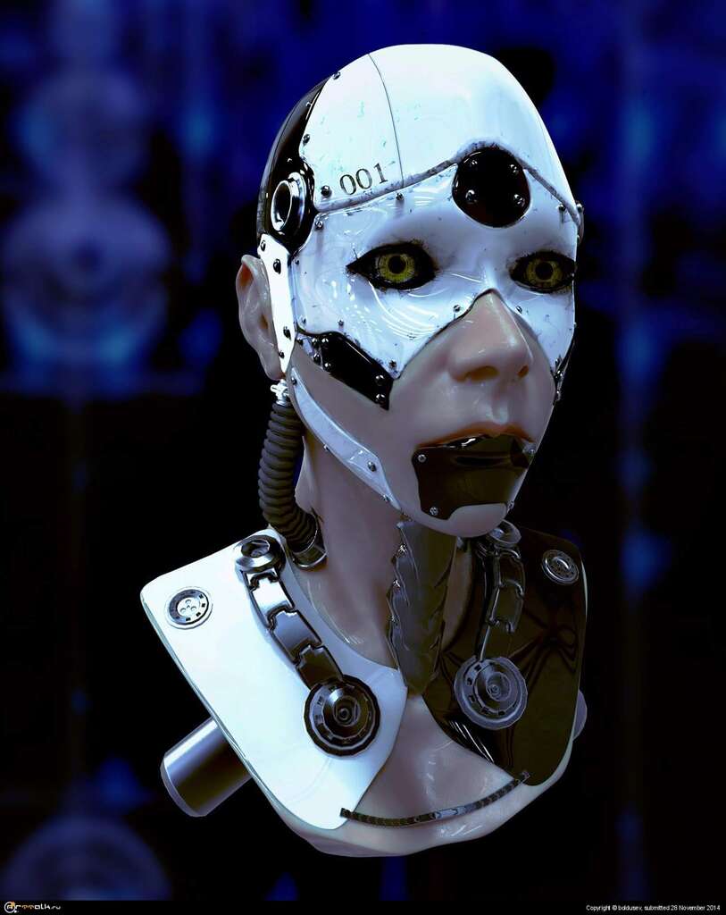 Robot