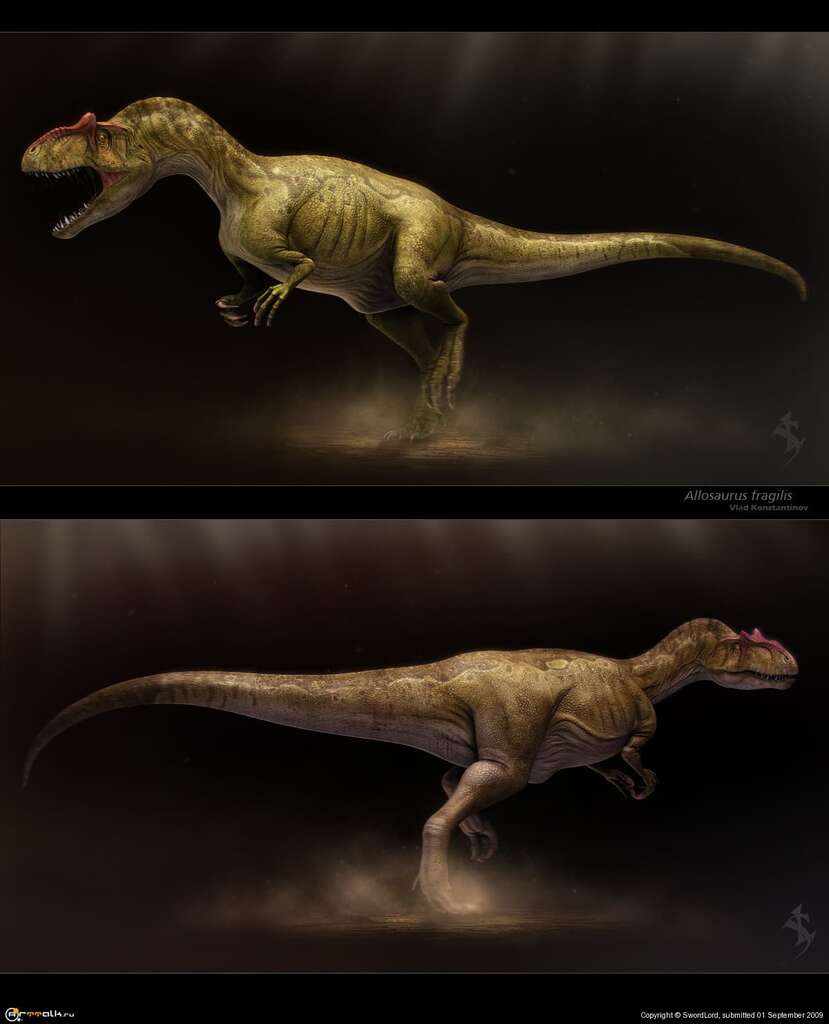 Allosaurus Fragilis