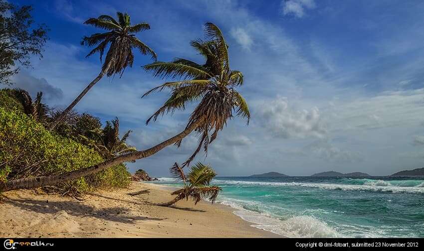 Sunny Beach
