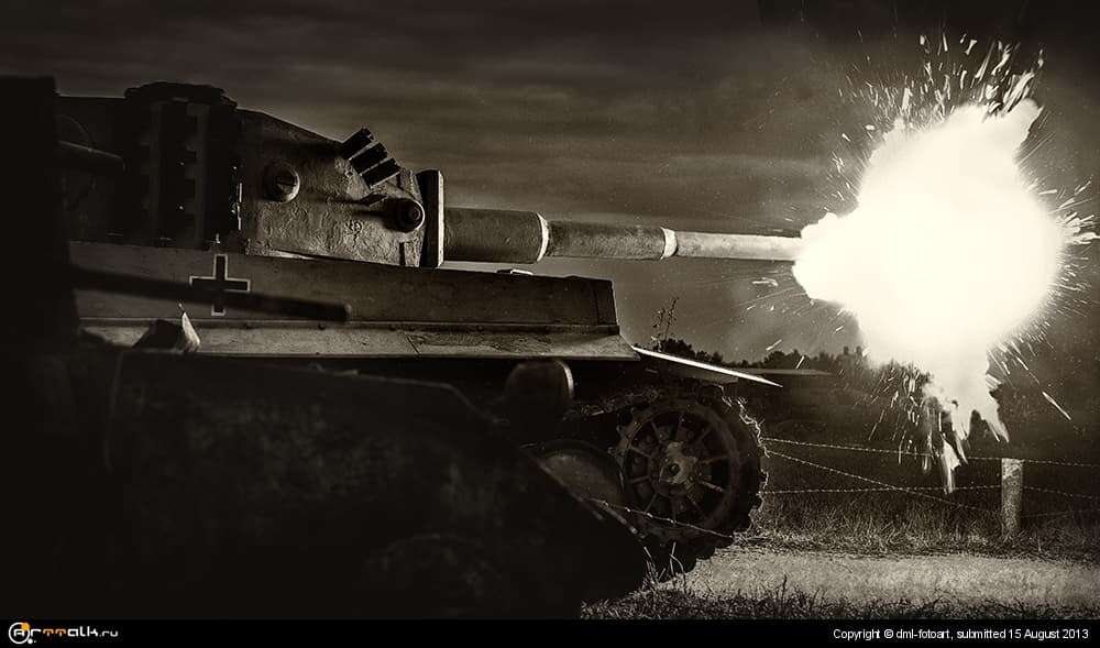 Tiger Shoots