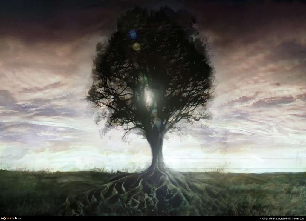 Tree