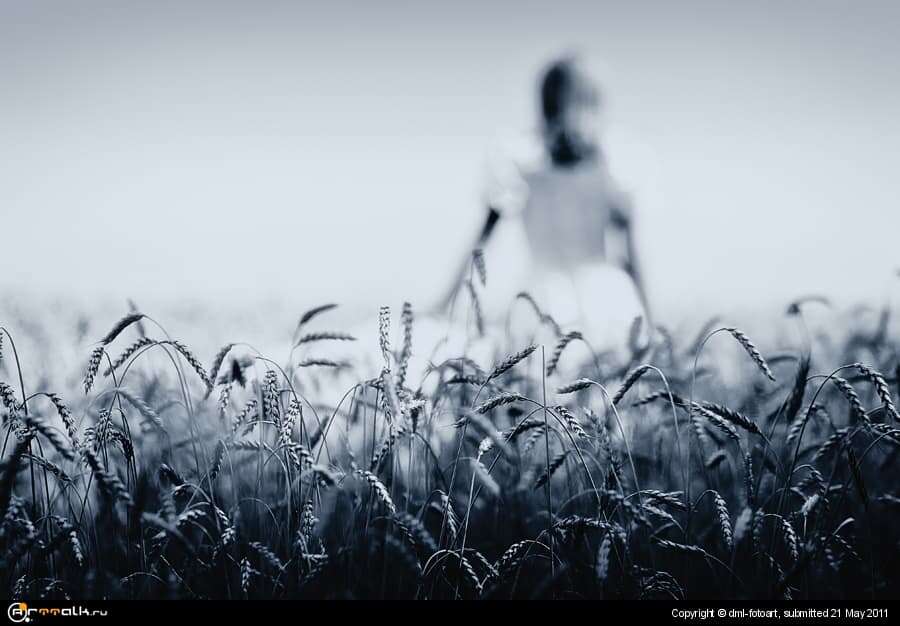 Dream