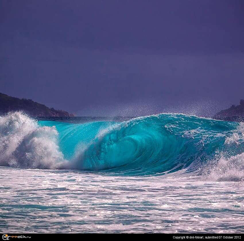 Wave