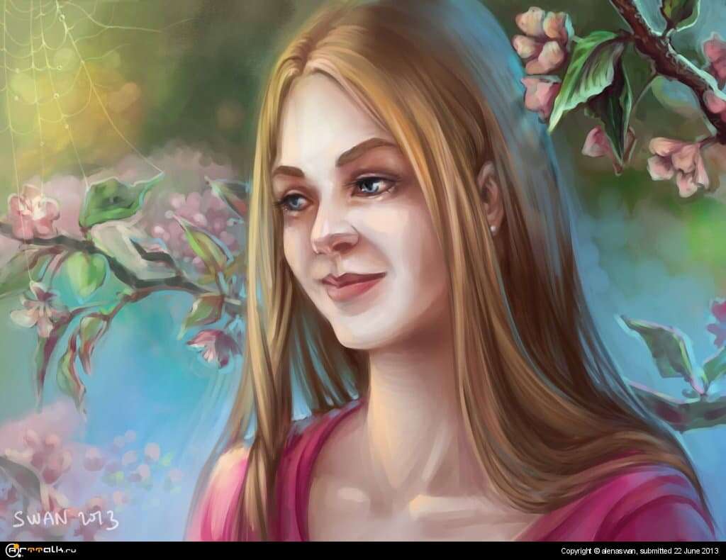 Cherry Blossoms