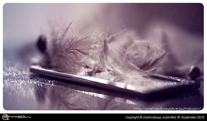 Drops And Feathers