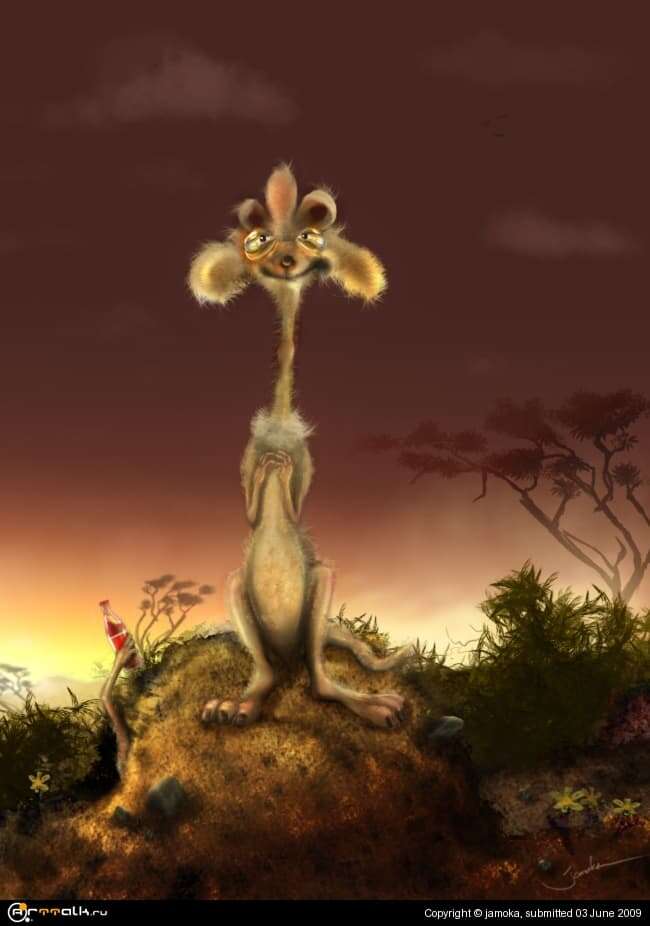 Meerkat