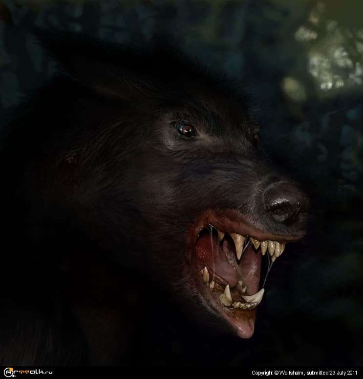 Lycan