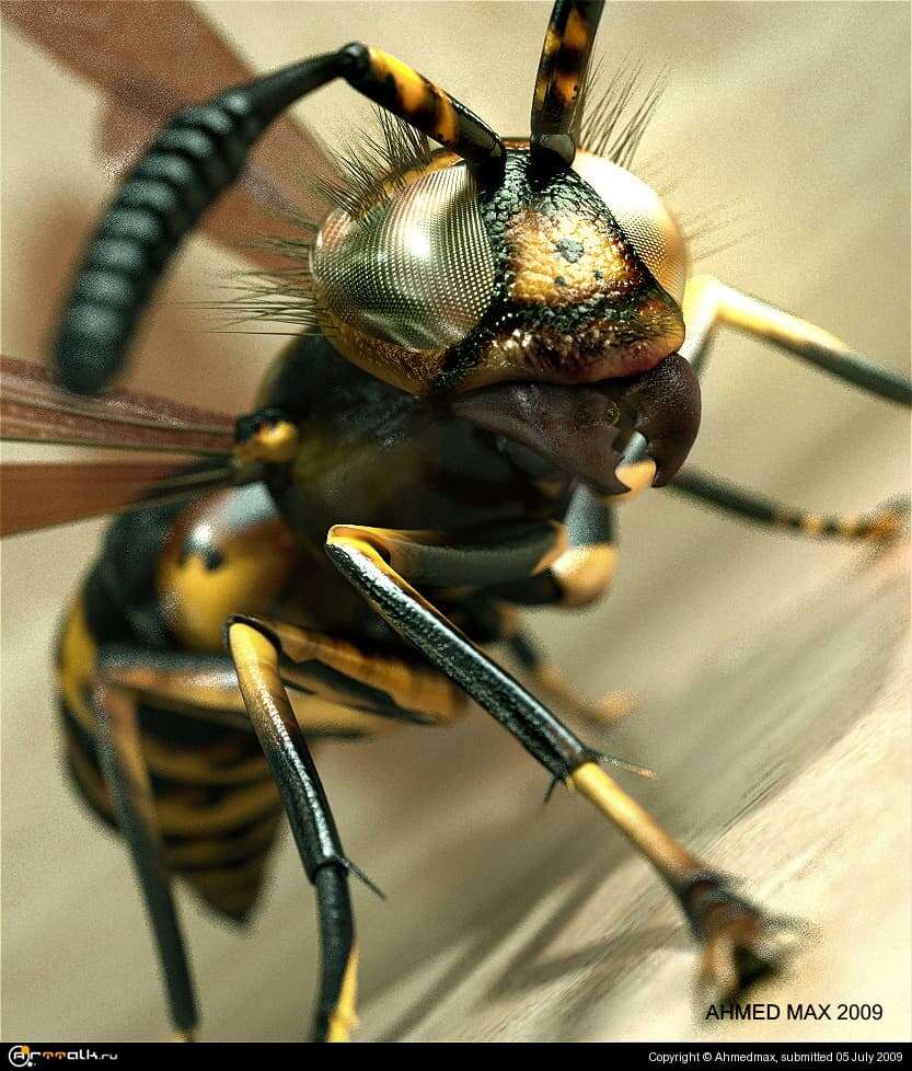 The Hornet