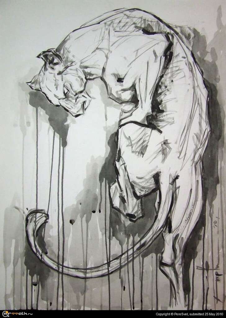 Panther