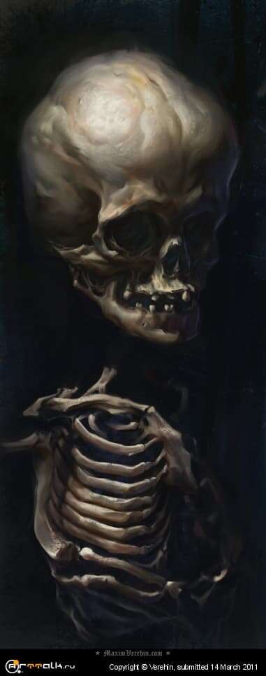 Bones