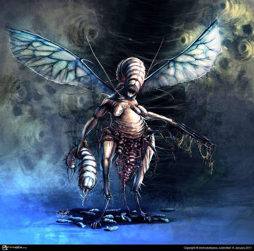 Insect