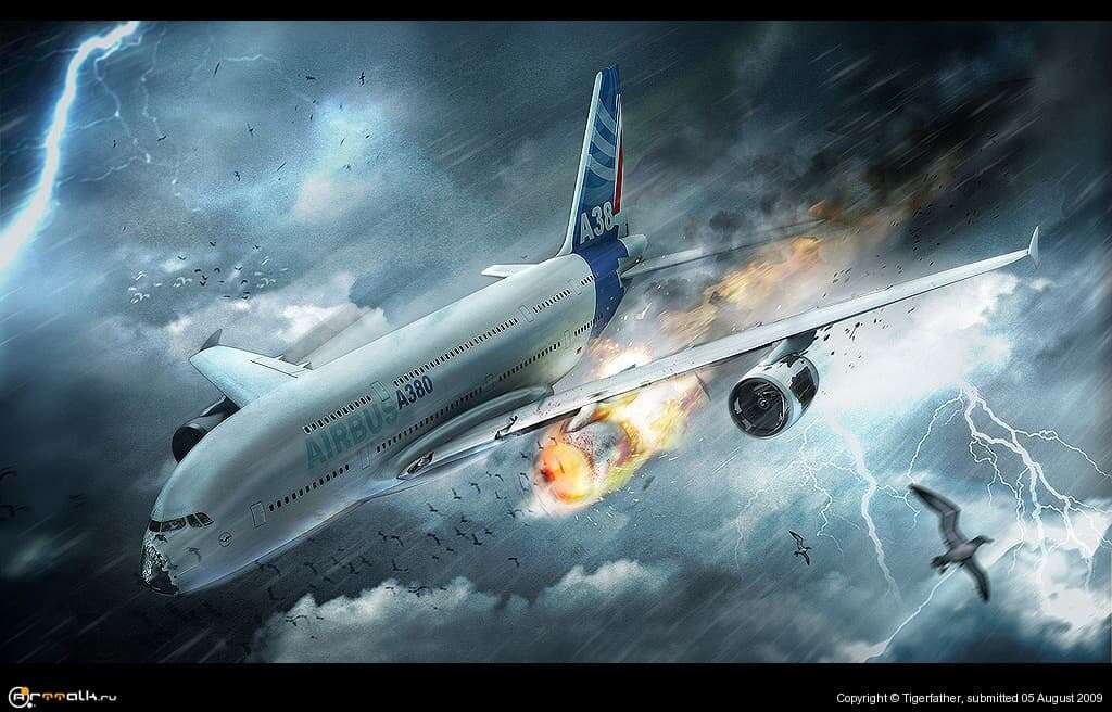 Birds Vs Airplane