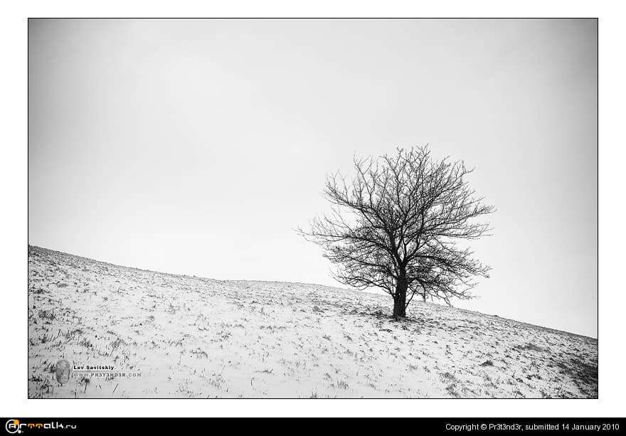 Winter