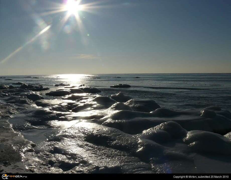 Море в панцире.