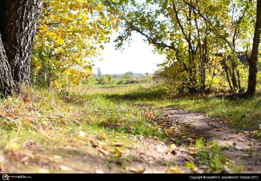 Autumn