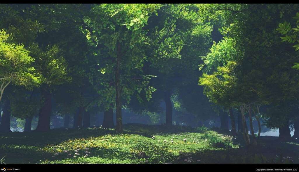 Forest