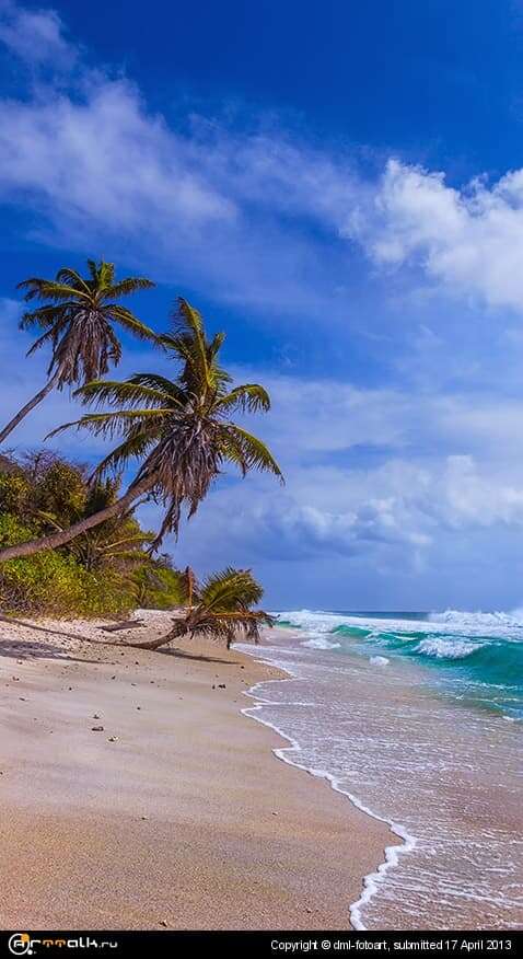 Tropical Beach