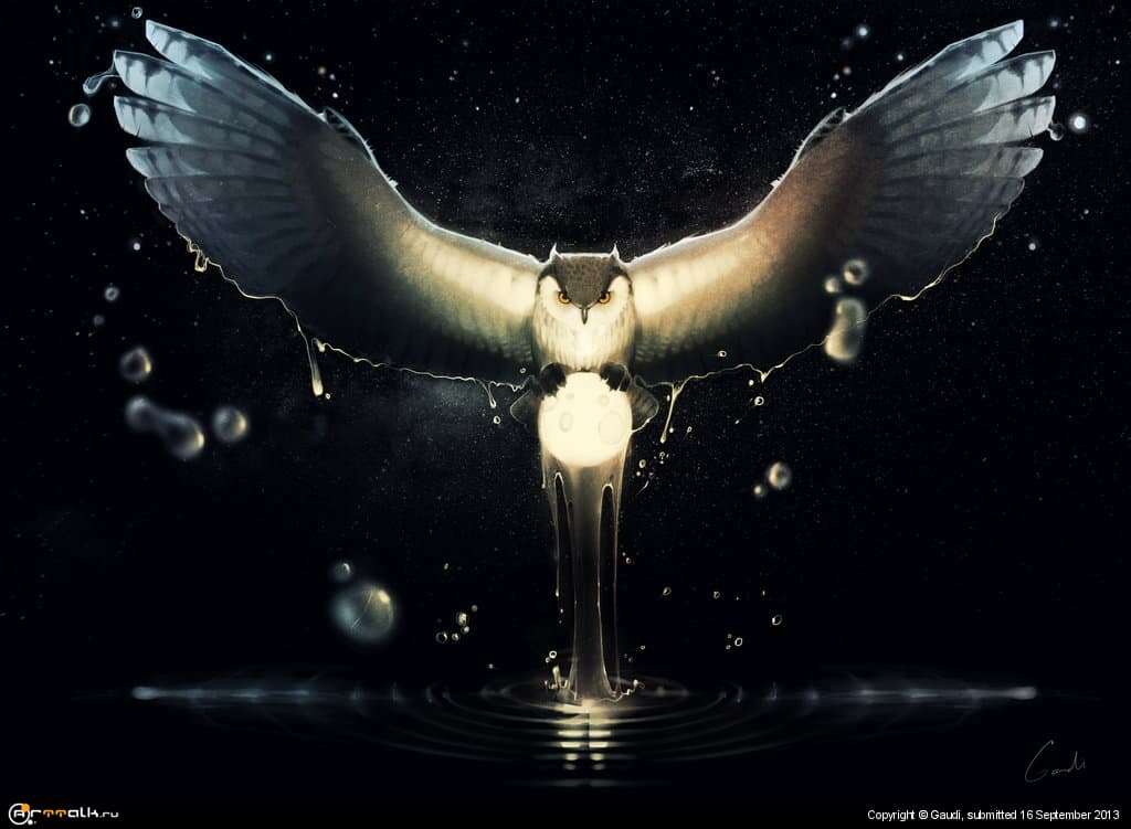 Owl Who Gets The Moon Every Night From The River By Gaudibuendia-d6m1gjl