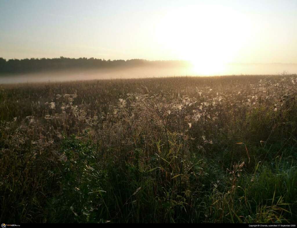 Осеннее утро