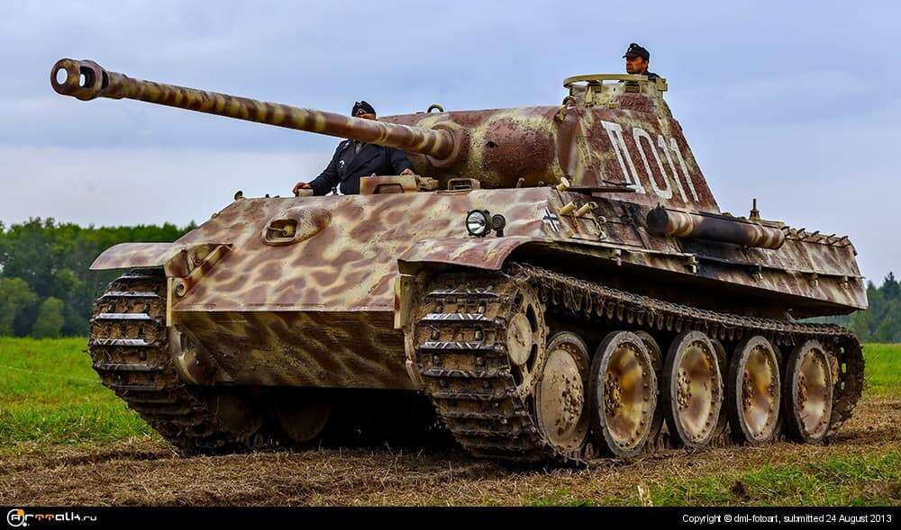 Panther