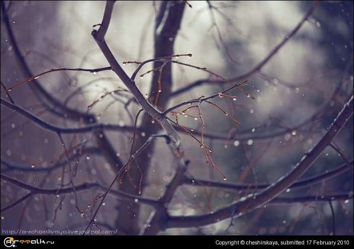 Drops...
