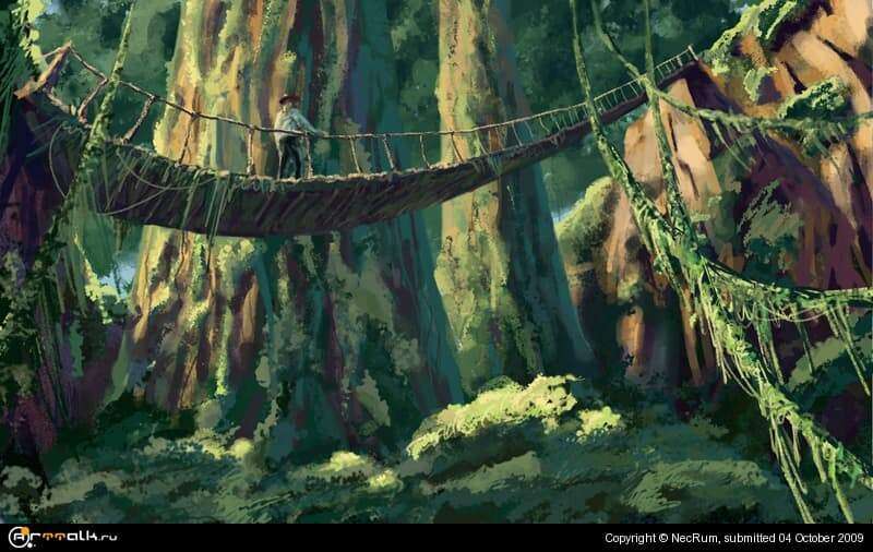 Jungle