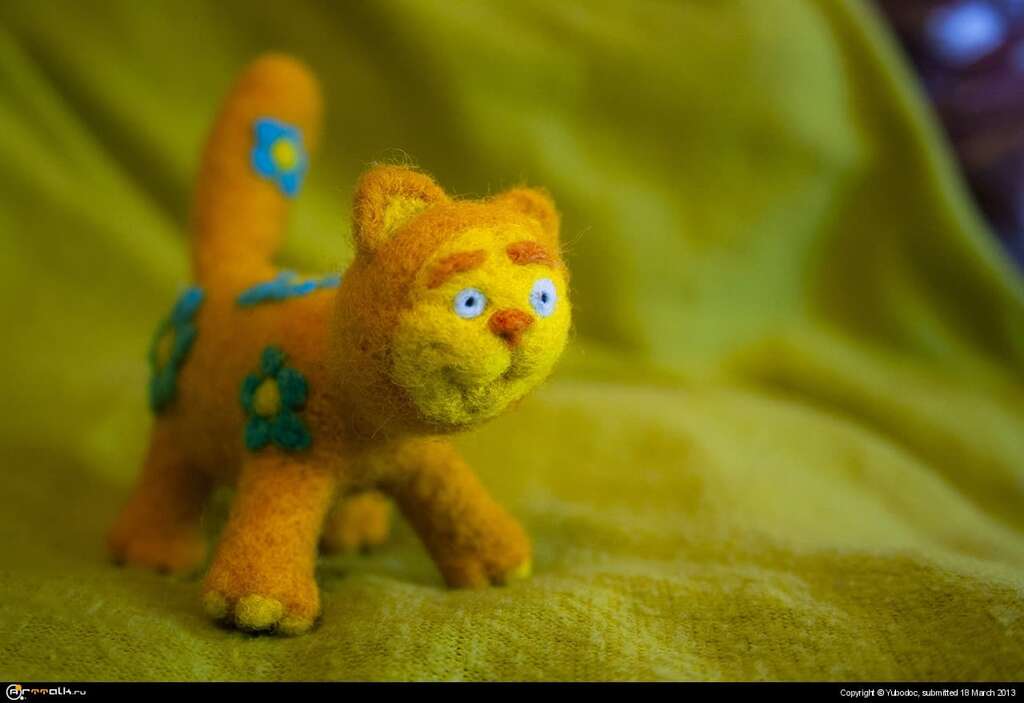 Летний кот