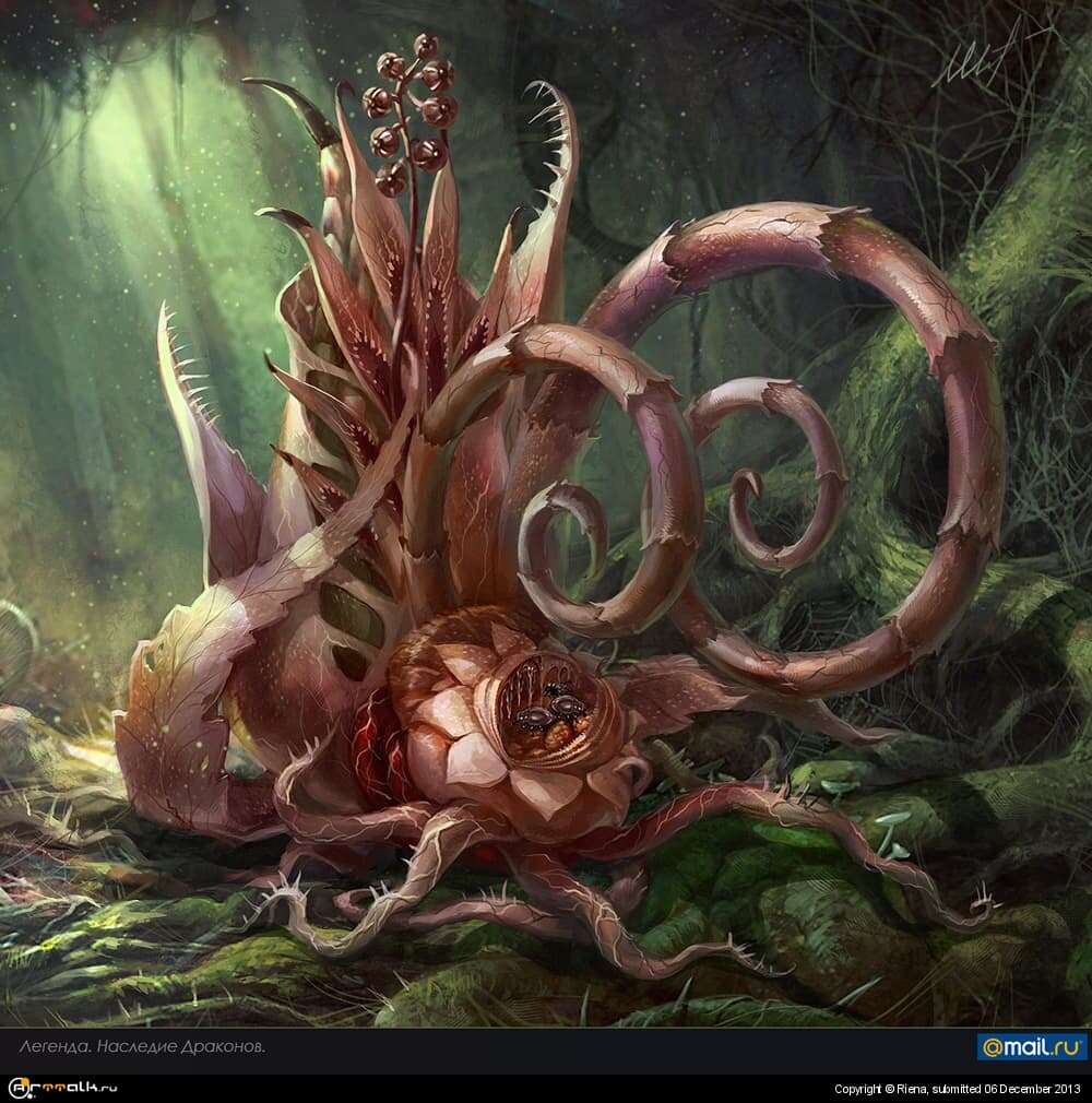 Неферто