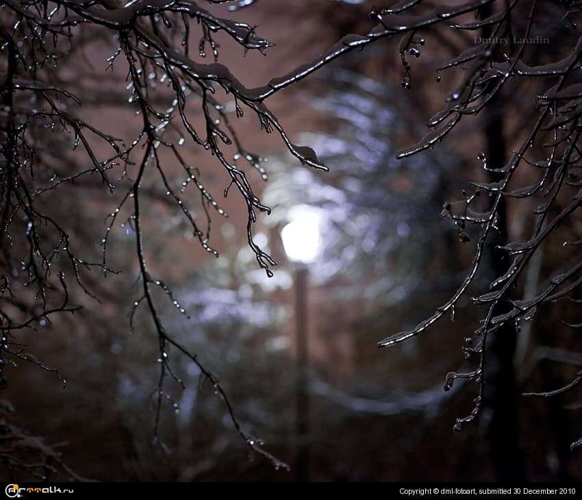 Magic Of Night
