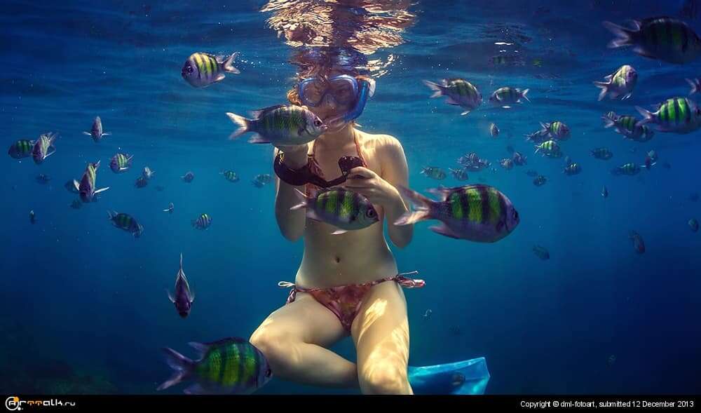 Hi Fish.