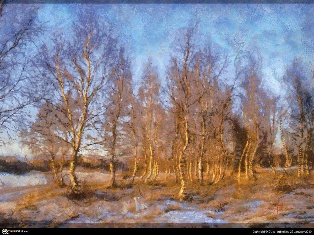 Forest Spirits