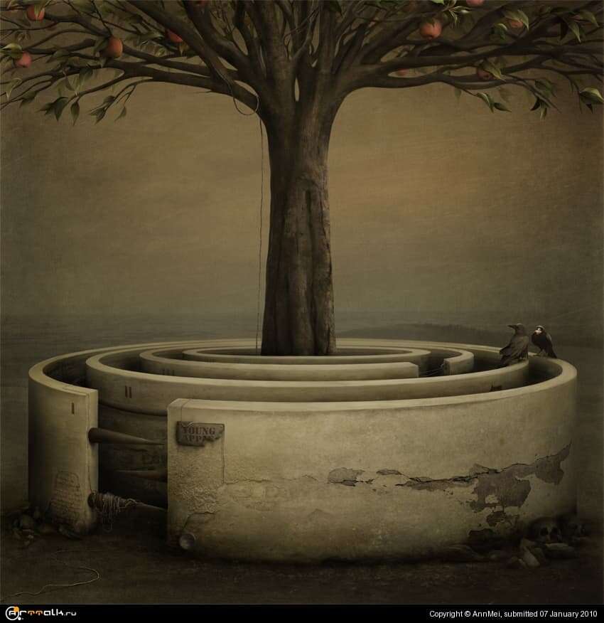 Apple Youth