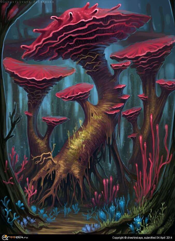 Giant Mushrooms