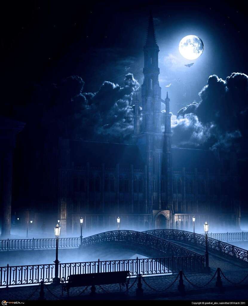 Moonlit Night