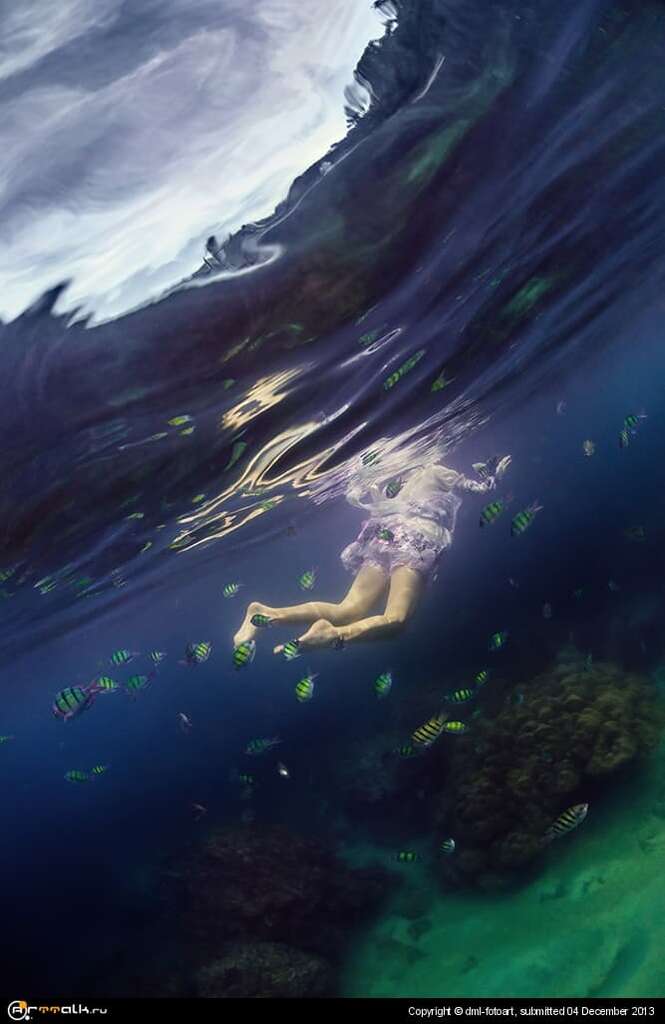 With Fish