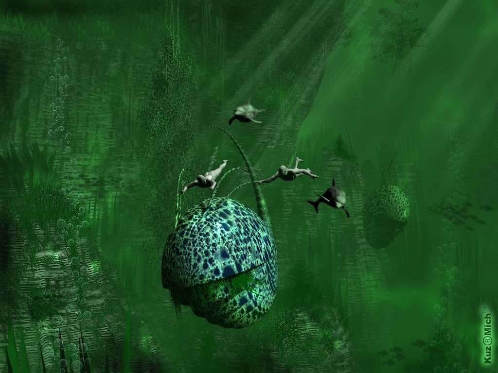 Подводный мир
