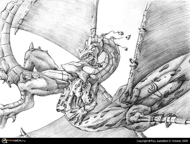 Dragons Fight
