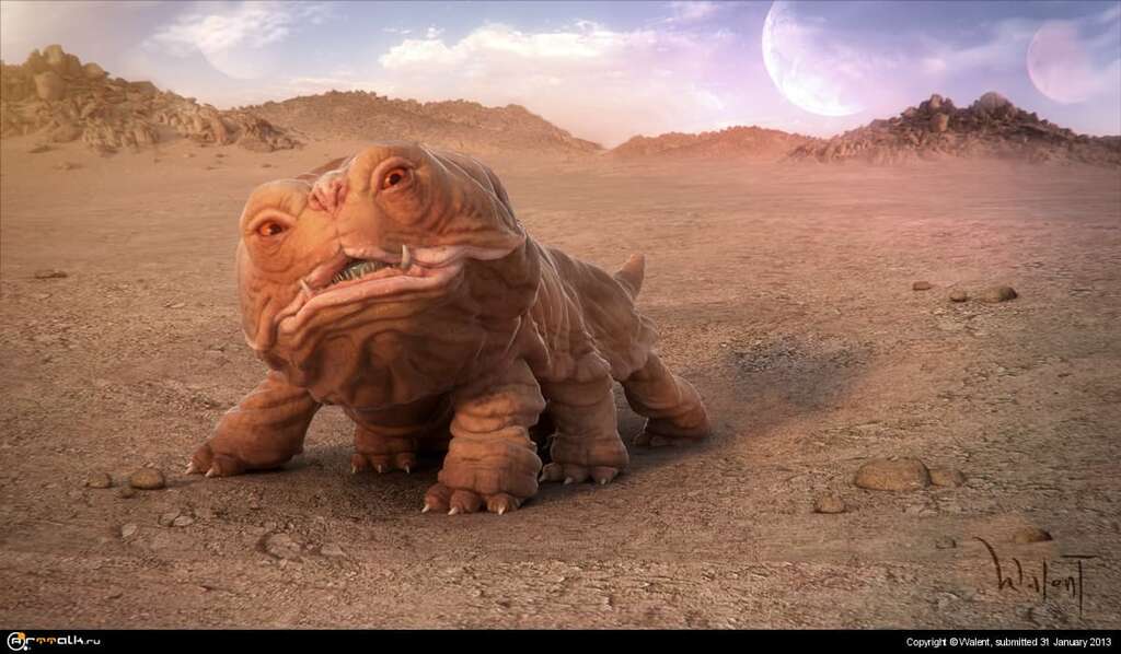 Woola