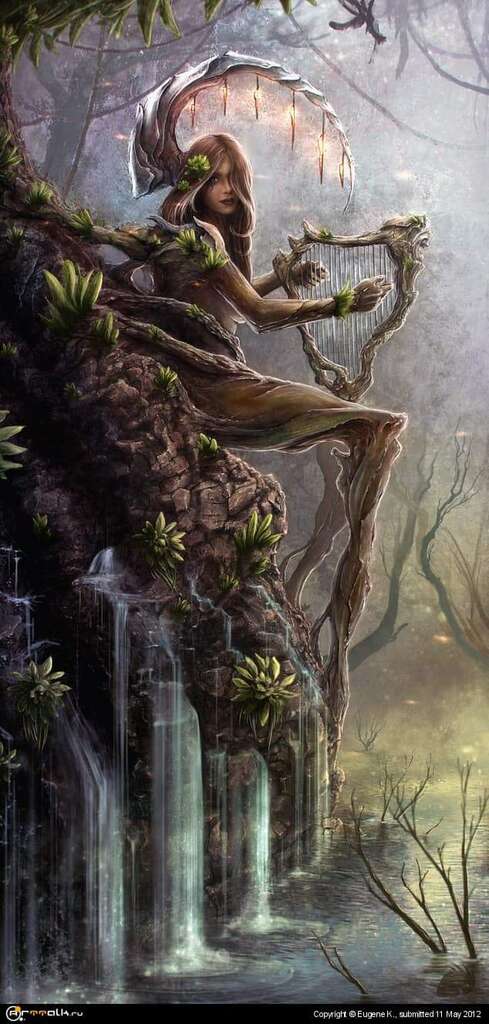 Wood Nymph
