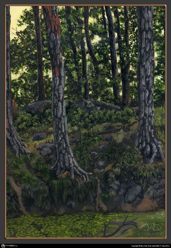 Forest