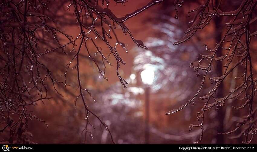 Magic Night