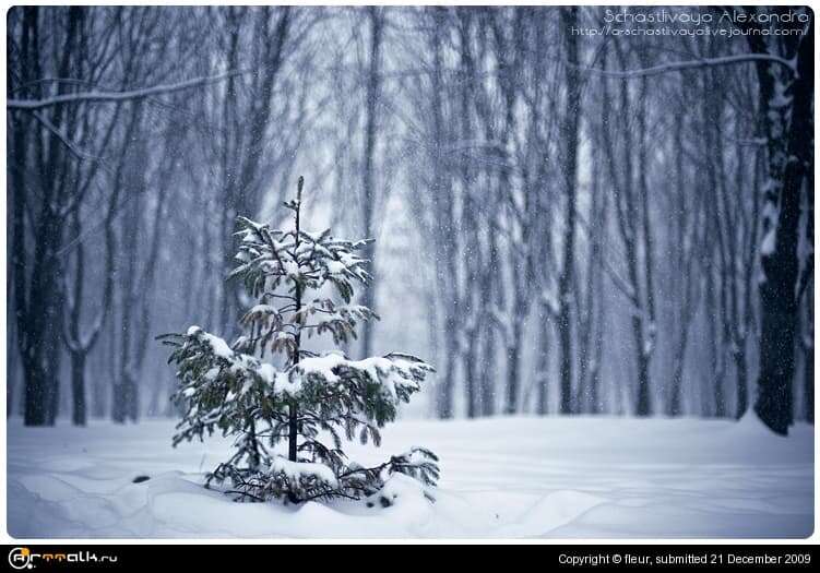 Let It Snow