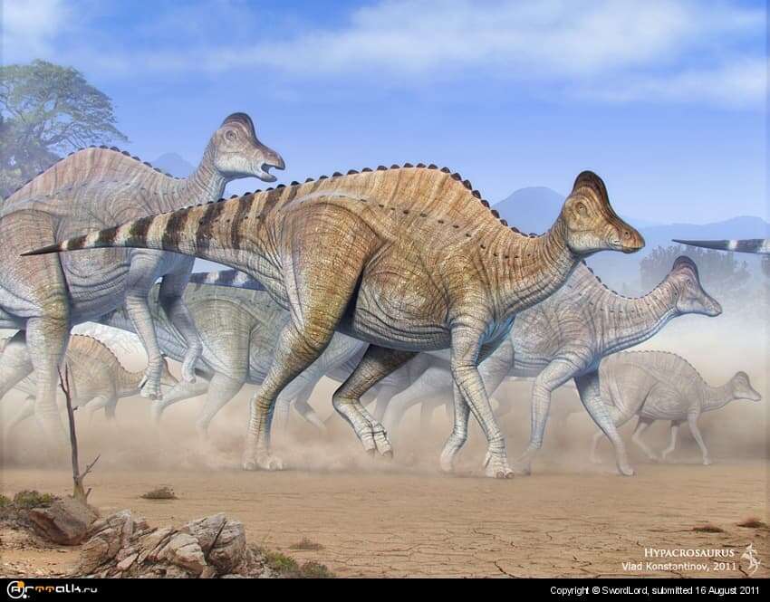 Hypacrosaurus