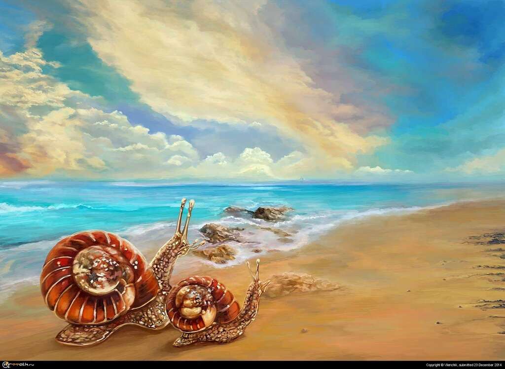 Snails Travelers