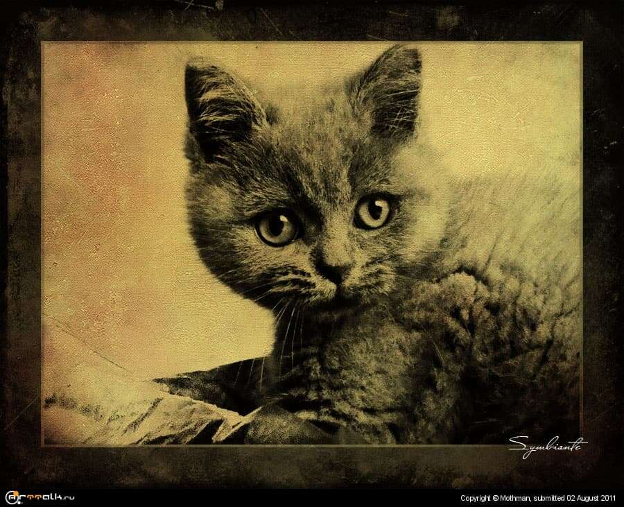 Кошка
